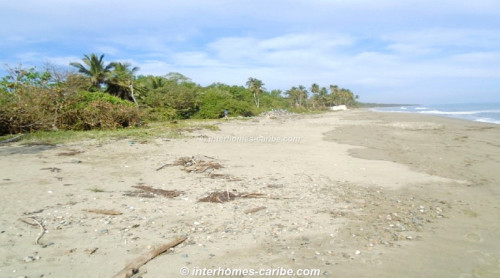 photos for GASPAR HERNANDEZ: LOT AT LAS CAÑAS BEACH WITH 62 M / 204 FT OCEAN FRONT