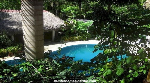 photos for SOSUA/CABARETE: BED AND BREAKFAST CLOSE TO THE BEACH AND WITH TROPICAL GARDEN