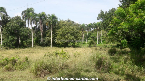 photos for CABARETE: LOT OF 3.21 ACRES (13.000 m²) FOR VERSATILE DEVELOPMENT