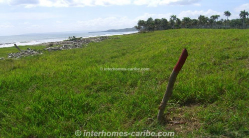 photos for LAS CAÑAS: LAND OF 25,000 M² / 6.18 ACRE WITH DIRECT SEA FRONT, OWNER FINANCING