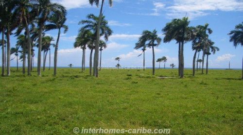 photos for LAS CAÑAS: LAND OF 25,000 M² / 6.18 ACRE WITH DIRECT SEA FRONT, OWNER FINANCING