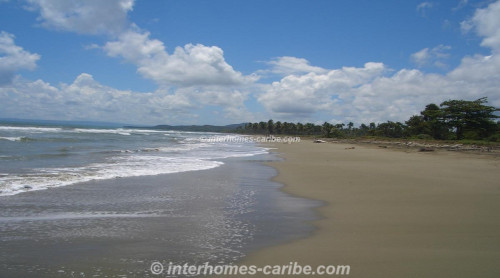 photos for LAS CAÑAS: LAND OF 40,000 M² / 9.88 ACRE WITH DIRECT SEA FRONT, OWNER FINANCING