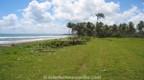 photos for LAS CAÑAS: LAND OF 40,000 M² / 9.88 ACRE WITH DIRECT SEA FRONT, OWNER FINANCING