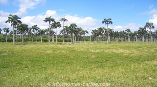 photos for LAS CAÑAS: LAND OF 40,000 M² / 9.88 ACRE WITH DIRECT SEA FRONT, OWNER FINANCING