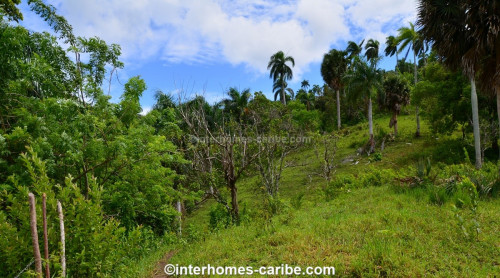 photos for SOSUA ABAJO: LOTS FROM 1,000 M² (10,764 ft²) AND LARGER, LOCATED CLOSE TO SOSUA