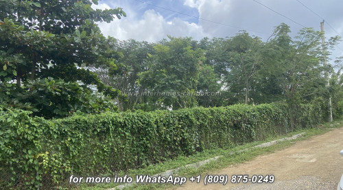 photos for SOSUA: BUILDING LOT OF 1,089 M² IN A CENTRAL LOCATION